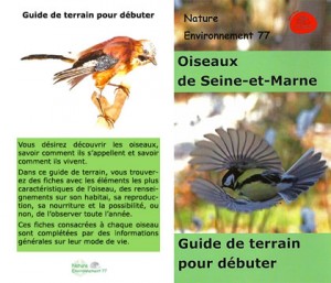 Oiseaux De Seine Et Marne
