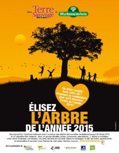 arbre de l'année 2015