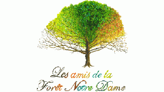 Logo Les amis de la Forêt de Notre Dame