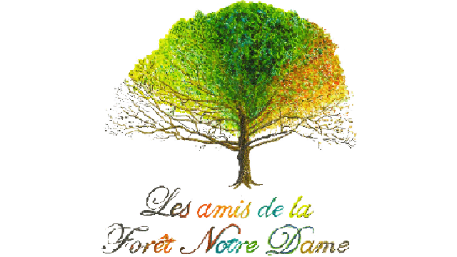 Logo Les amis de la Forêt de Notre Dame